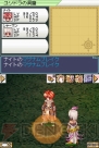 『ラグナロクオンラインDS』