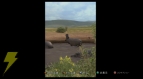 【今週の1本】楽しみ方は無限大!? 謎多き『AFRIKA』の全貌がついに明らかに