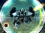 『ガンダムマイスターズ』
