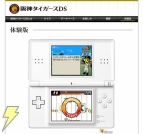 『阪神タイガースDS』