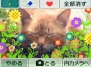 「任天堂カンファレンス 2008.秋」