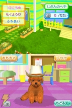 『かわいい仔犬DS2』