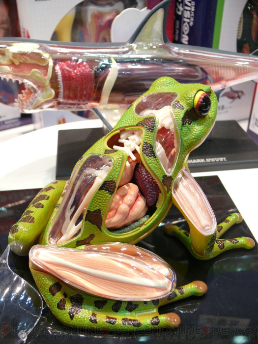 「00」「マクロスF」の新製品も！ 本日開始の第48回ホビーショーをレポ その1