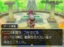 『ドラゴンクエストIX 星空の守り人』