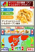 『世界のごはん しゃべる！DSお料理ナビ』