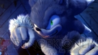 「NIGHT OF THE SONIC～ソニック＆チップ 恐怖の館～」