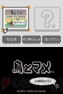 「DSiウェア」