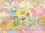 『やさいのようせい N.Y. SALAD DVD BOX 2』