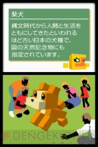『立体ピクロス』