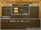 『ドラゴンクエストIX 星空の守り人』