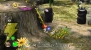 『Wiiであそぶ ピクミン2』