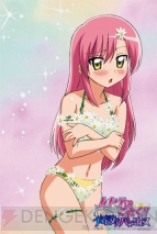 『ハヤテのごとく!! ナイトメアパラダイス』