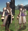 『ファイナルファンタジーXI』