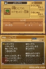 『ドラゴンクエストIX 星空の守り人』