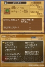 『ドラゴンクエストIX 星空の守り人』