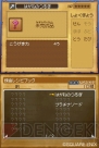 『ドラゴンクエストIX 星空の守り人』