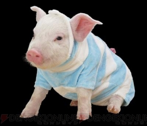 プーギーとアイルーが出演の モンスターハンターg Cm画像掲載 電撃オンライン