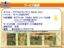 『ラグナロクオンライン』