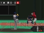 『お茶の間プロ野球DS』