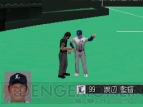 『お茶の間プロ野球DS』