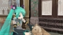 『初音ミク -Project DIVA-』