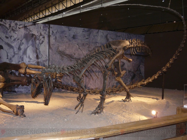 ラギアクルスの頭骨が出展！  世界最大級の恐竜が集う“恐竜2009”明日スタート
