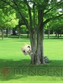PSP映像コンテンツ