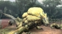 『モンスターハンター3（トライ）』