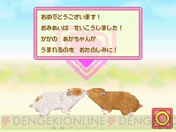 『もっと！ハムスターと暮らそう 赤ちゃんが生まれたよ』