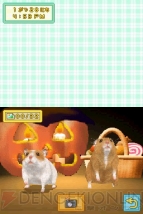 『もっと！ハムスターと暮らそう 赤ちゃんが生まれたよ』