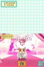 『もっと！ハムスターと暮らそう 赤ちゃんが生まれたよ』