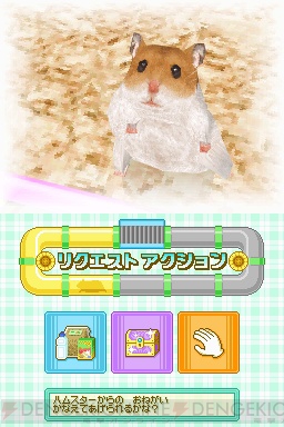 『もっと！ハムスターと暮らそう 赤ちゃんが生まれたよ』