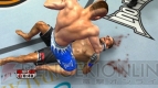 『UFC 2009 UNDISPUTED』