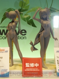 ワンダーフェスティバル 2009［夏］