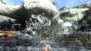 『モンスターハンター3（トライ）』
