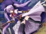 『戦極姫～戦乱に舞う乙女達～』
