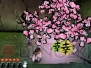 『大神伝 ～小さき太陽～』