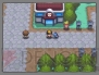 『ポケットモンスター ハートゴールド・ソウルシルバー』