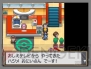 『ポケットモンスター ハートゴールド・ソウルシルバー』