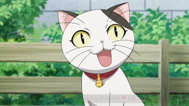 10月スタートのTVアニメ『にゃんこい！』ネコたちの設定画などを公開！