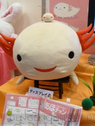プライズフェア