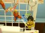 第18回プライズフェア