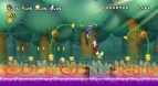 『New スーパーマリオブラザーズWii』