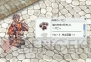 『ラグナロクオンライン』