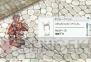 『ラグナロクオンライン』