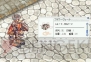 『ラグナロクオンライン』