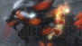 『真・三國無双 MULTI RAID Special』