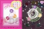 『ジュエルペット ～魔法のDS キラピカリーン☆～』