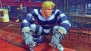 『スーパーストリートファイターIV』