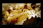 『VitaminZ Revolution』
